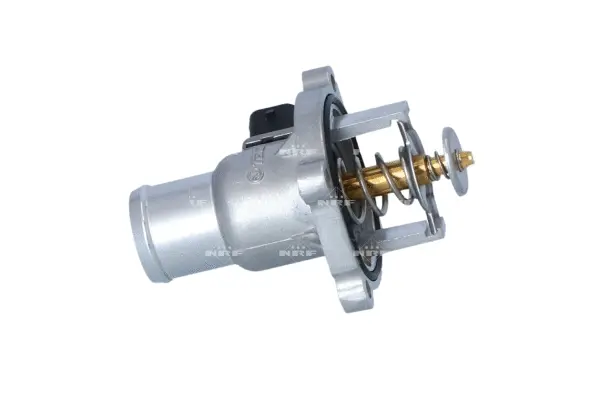 Thermostat, coolant (WG2184656)
