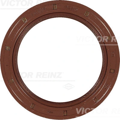 Shaft Seal, crankshaft (WG1249877)