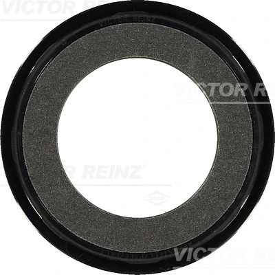 Shaft Seal, crankshaft (WG1250087)