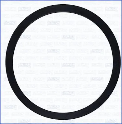 Seal, thermostat (WG1751353)