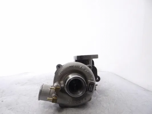 Charger, charging (supercharged/turbocharged)