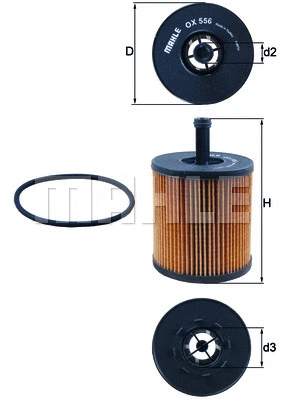 Oil Filter (WG1217444)