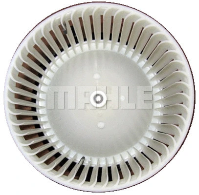 Interior Blower