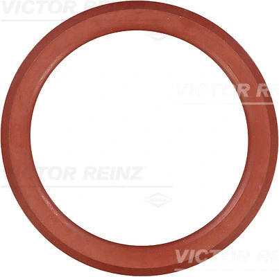 Gasket, cylinder head cover (WG1248178)