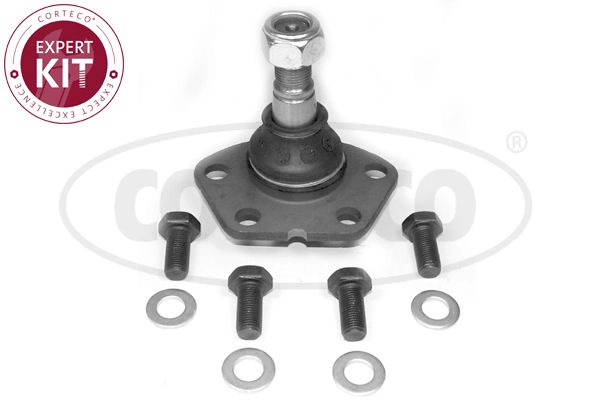 Ball Joint (WG2289918)