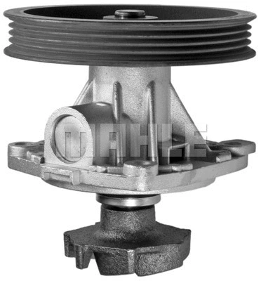 Water Pump, engine cooling (WG2181761)