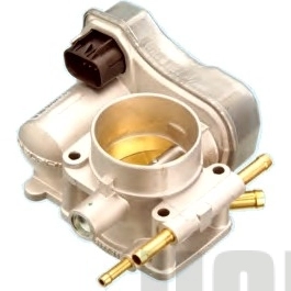 Throttle Body (WG1899241)