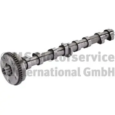 Camshaft (WG1726384)