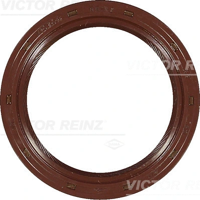 Shaft Seal, crankshaft (WG1145432)
