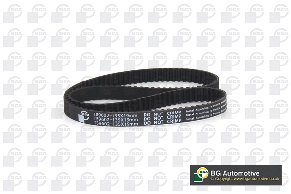 Timing Belt (WG2258722)