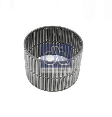 Bearing, manual transmission (WG2318480)
