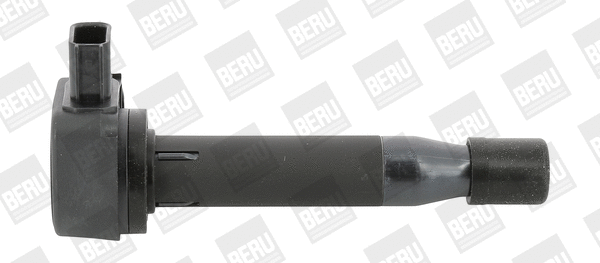 Ignition Coil (WG1940720)