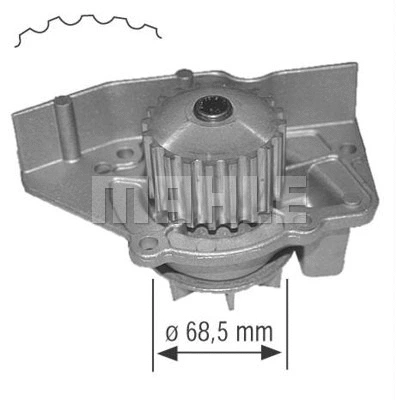 Water Pump, engine cooling (WG2182038)