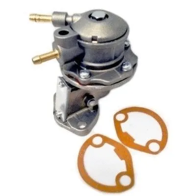 Fuel Pump (WG1750065)