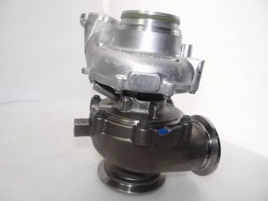 Charger, charging (supercharged/turbocharged) (WG2139758)