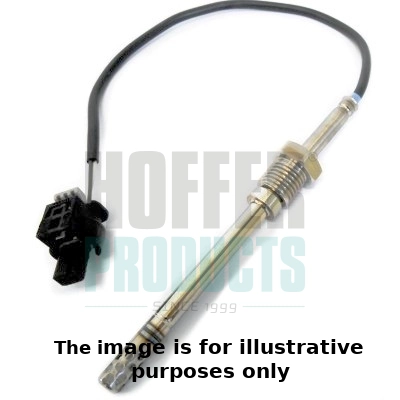 Sensor, exhaust gas temperature (WG1964691)