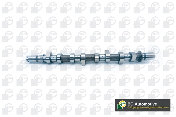 Camshaft (WG1490543)