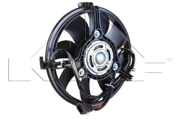 Fan, engine cooling