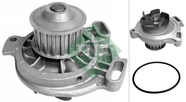 Water Pump, engine cooling (WG1254312)