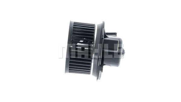 Interior Blower