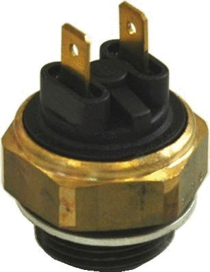 Temperature Switch, radiator fan (WG1748923)