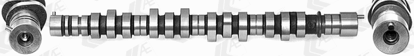 Camshaft (WG1462603)