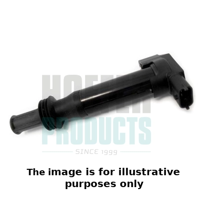 Ignition Coil (WG2099670)