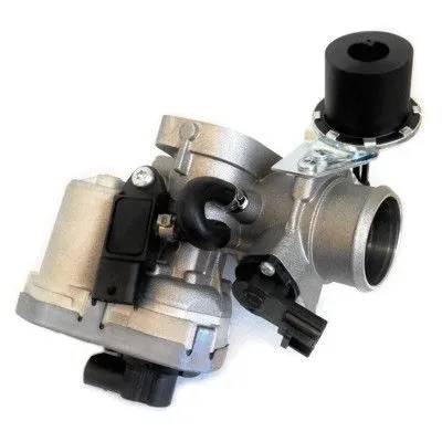 EGR Valve (WG1408731)