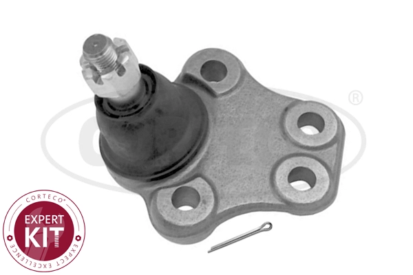 Ball Joint (WG2288364)