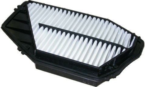 Air Filter (WG1746778)