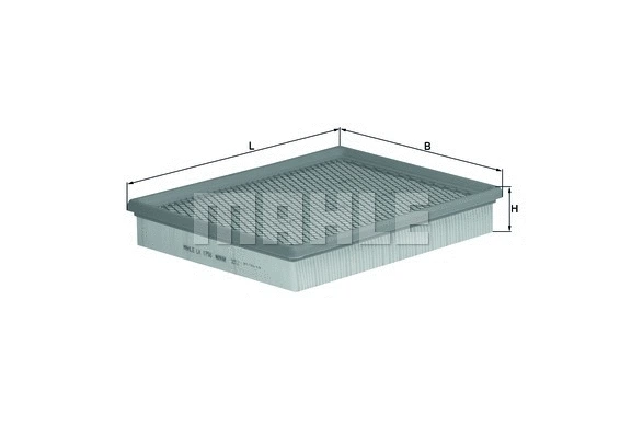 Air Filter (WG1216046)