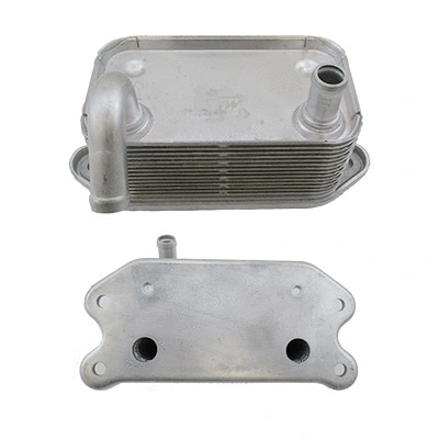 Oil Cooler, engine oil (WG1941201)