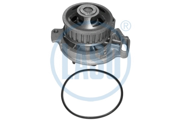 Water Pump, engine cooling (WG1709891)