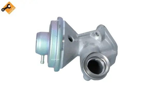 EGR Valve (WG2161863)