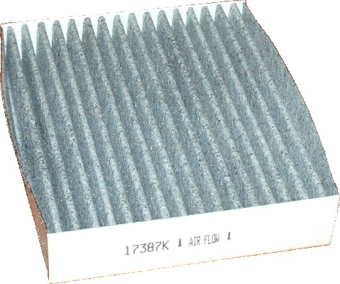 Filter, cabin air (WG1747189)