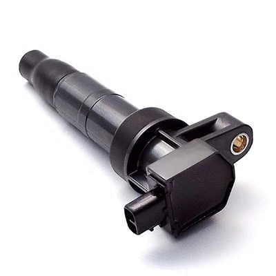 Ignition Coil (WG1012428)