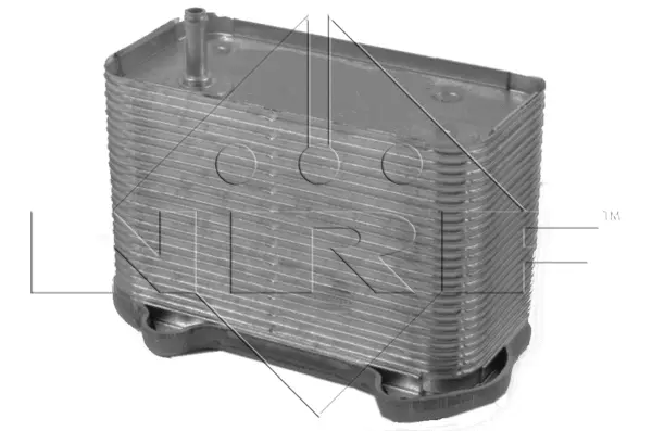 Oil Cooler, engine oil (WG1720032)