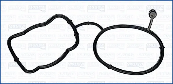 Gasket, water pump (WG2077975)