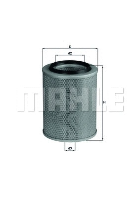 Air Filter (WG1216906)