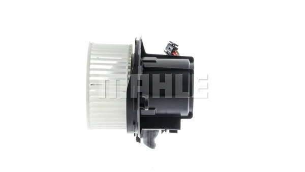 Interior Blower