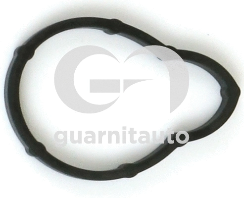 Gasket, intake manifold (WG2134829)