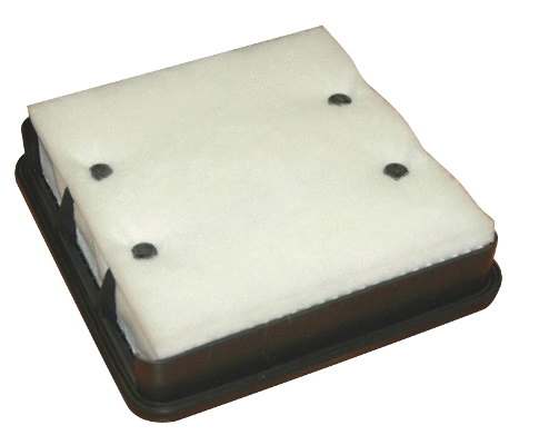 Air Filter (WG1747510)