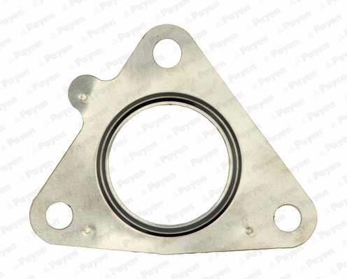 Gasket, exhaust pipe (WG1182198)