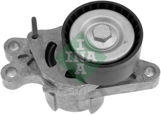 Belt Tensioner, V-ribbed belt (WG1253418)