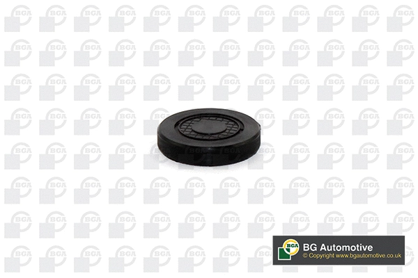 Plug, rocker arm shaft mounting bore (WG1993614)
