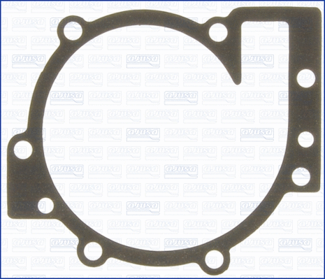 Gasket, water pump (WG1751152)