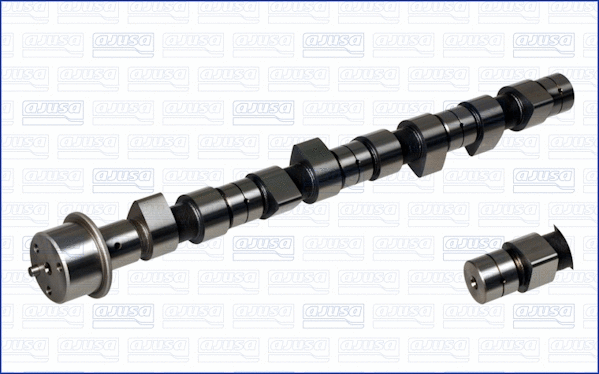 Camshaft (WG1754017)