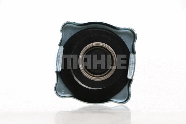 Cap, coolant tank (WG2184200)