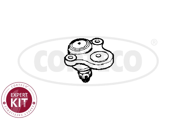 Ball Joint (WG2288237)