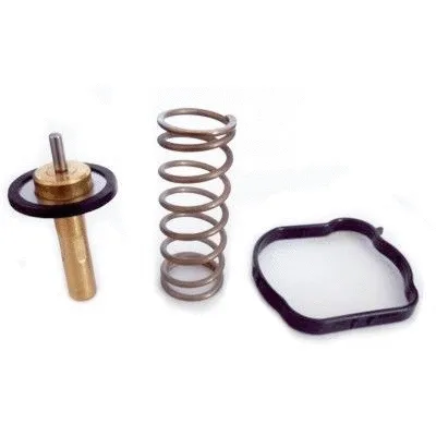 Thermostat, coolant (WG1749716)